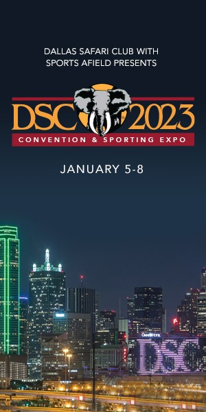 DSC Convention and Expo 2023